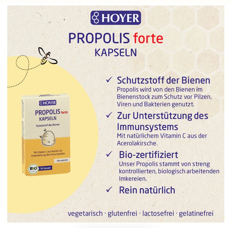 Hoyer Propolis forte Kapseln, bio 30 St.