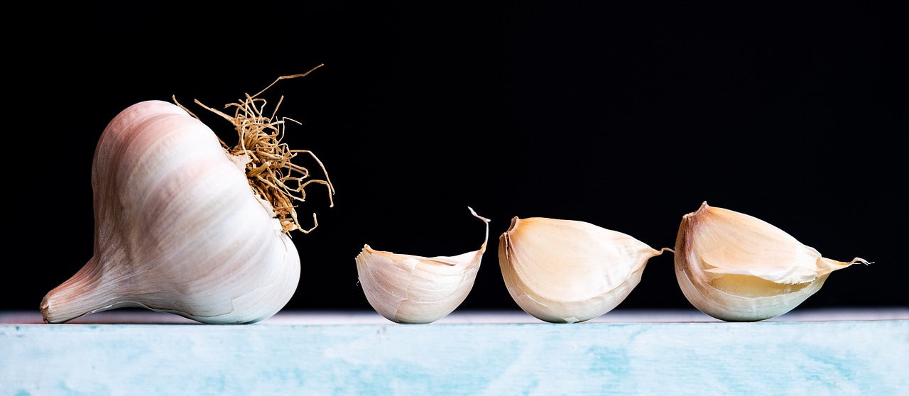 Doppelherz garlic capsules with mistletoe + hawthorn 480 pieces.