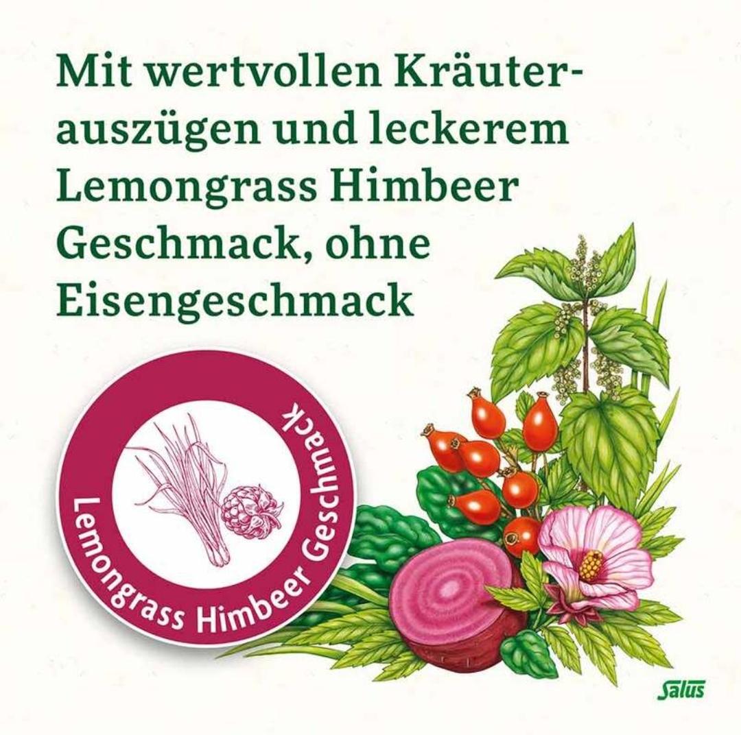 Salus Floradix Eisen 20 Sticks