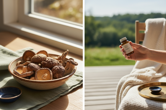 Vitamin D2 Quelle Pilze und Vitamin D3 Quelle Sonnenlicht – Germedi Vergleich