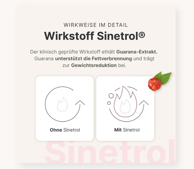 SHEKO Fettstoffwechsel Komplex 30 Stück