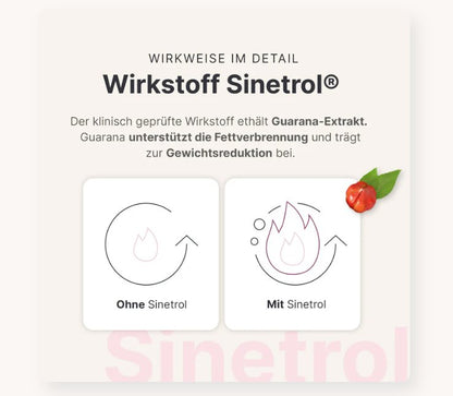 SHEKO Fettstoffwechsel Komplex 30 Stück