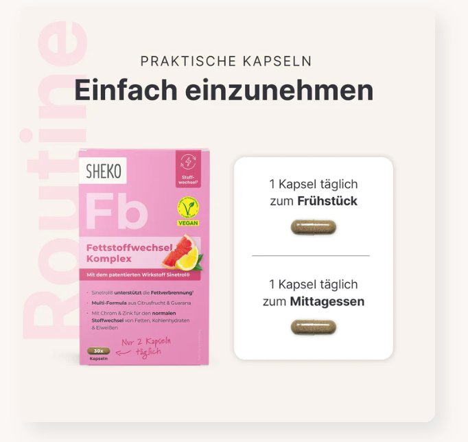 SHEKO Fettstoffwechsel Komplex 30 Stück