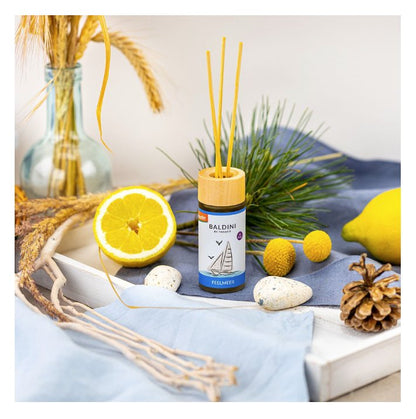 TAOASIS Baldini Feelmeer® Room Fragrance Set BIO | Demeter 50ml