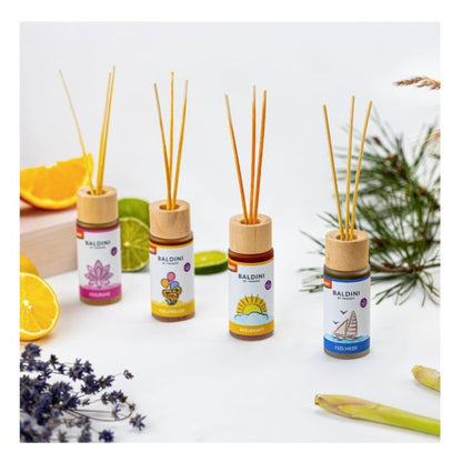 TAOASIS Baldini Feelmeer® Room Fragrance Set BIO | Demeter 50ml