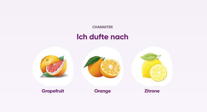 Taoasis Baldini Feelfreude® Room Fragrance Set BIO | Demeter 50ml