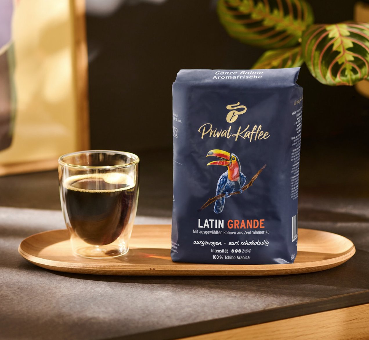 Privat 拉丁特級咖啡 - 500克整豆 / 208180