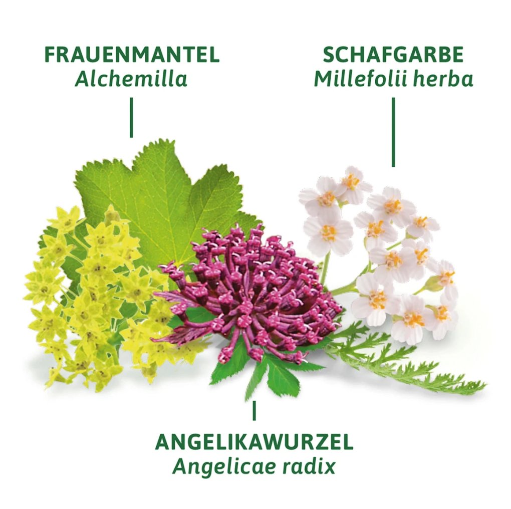 Bad Heilbrunner herbal tea "Menstruation Tea" (8 tea bags), 16 g