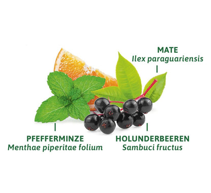 Bad Heilbrunner Kräutertee "Figur-Fit Tee" (8 Beutel), 16 g