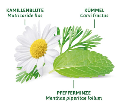 Bad Heilbrunner Arzneitee, Magen- & Darm Tee (8 Beutel), 14 g