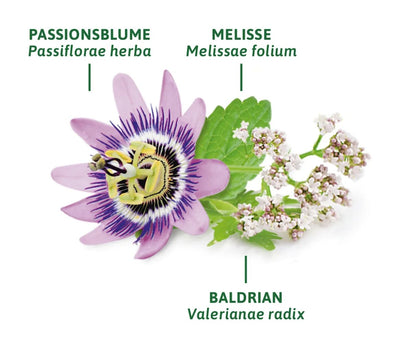 Bad Heilbrunner medicinal tea, sleep &amp; nerve tea (8 tea bags), 14 g