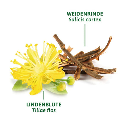 巴特海爾布倫納藥用冷茶（8個茶包），16克