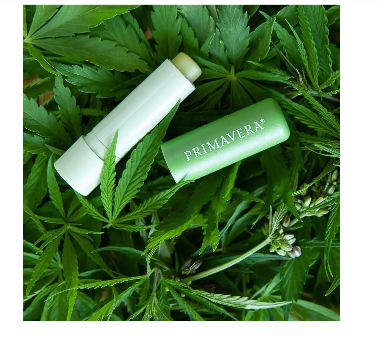 Primavera 護唇膏護理修護 4.6克