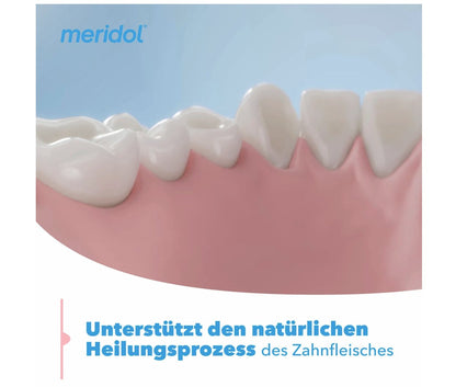 meridol 美利多 牙周專家 牙膏，75毫升