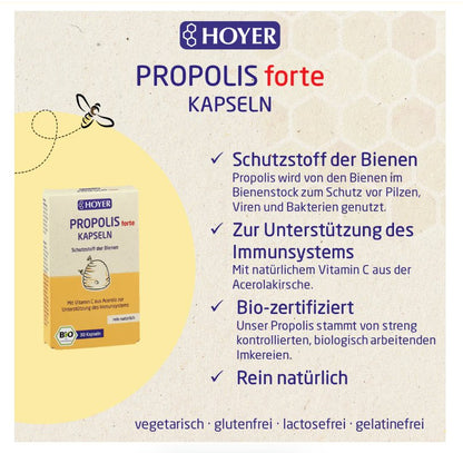 Hoyer  Propolis forte Kapseln, bio 30 St.