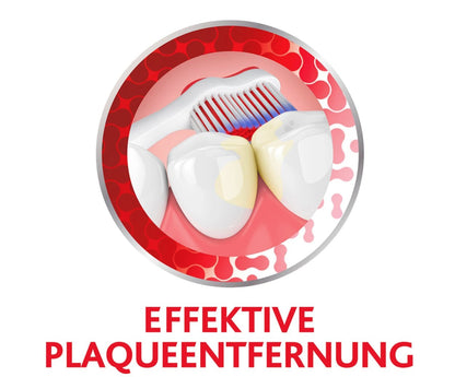 Parodontax 全效保護軟毛牙刷，1 支裝。