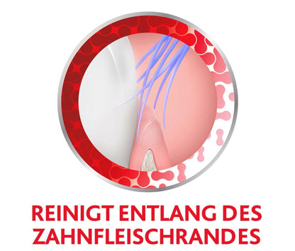 Parodontax 全效保護軟毛牙刷，1 支裝。