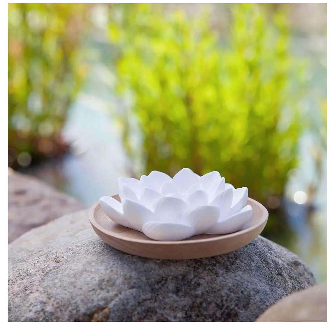 Aroma Duftstein Lotusblüte