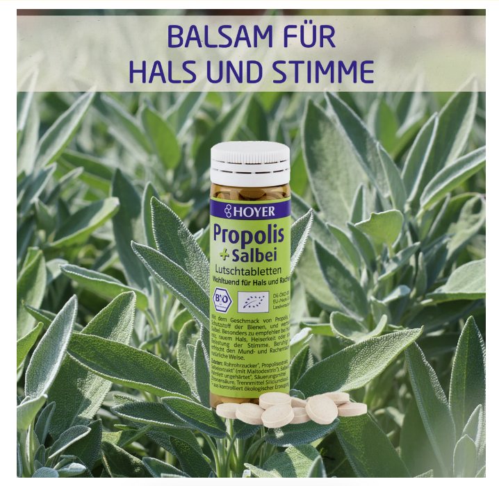 HOYER Propolis + Salbei Lutschtabletten 60 Stück
