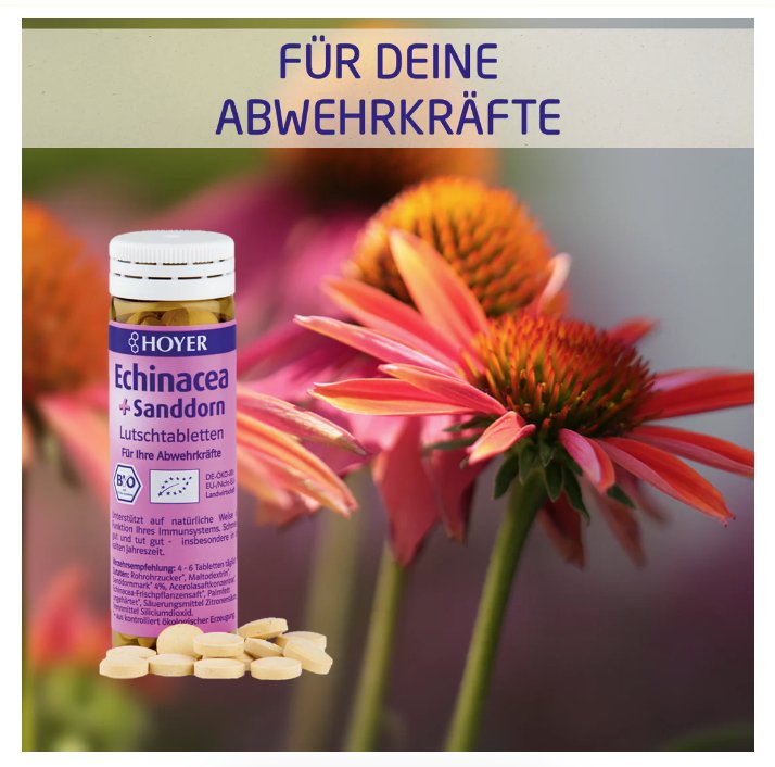 HOYER Echinacea + Sanddorn Lutschtabletten 60 Stück