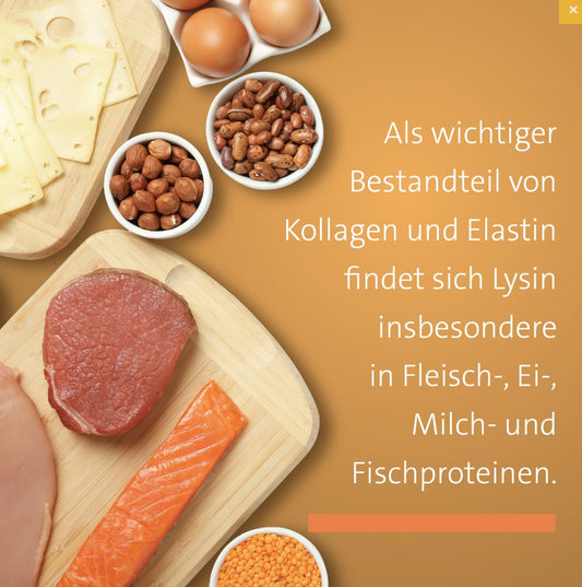 Sanct Bernhard  L-Lysin-500 mg-Tabletten