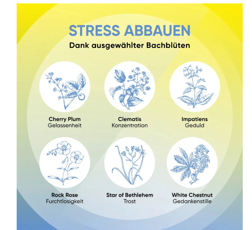 Bach RESCURA® Plus Bachblüten Nachtruhe Tropfen mit B-Vitaminen, 10 ml