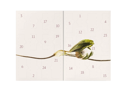 Dr. Hauschka Adventskalender 2026 „bliss – Radiance Ritual“ – 24 Naturkosmetik-Produkte für Gesicht & Körper