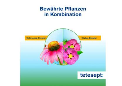 tetesept Echinacea + Cistus Plus tablets, 20 pcs