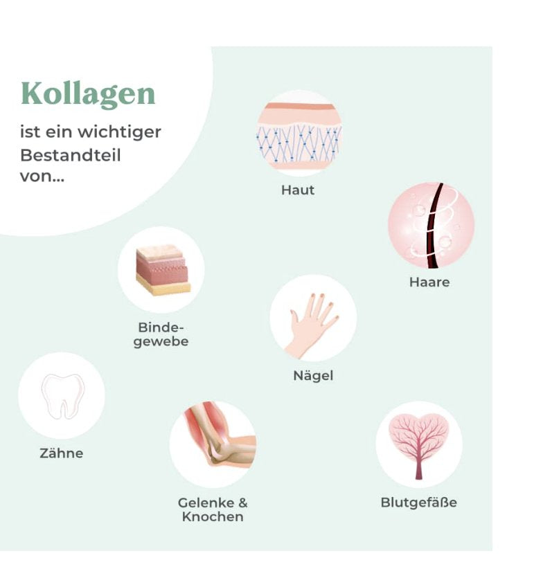 Cosphera 純素膠原蛋白形成膠囊含 專利Vollagen®，120 粒